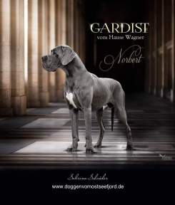 Norbert Gardist vom Hause Wagner geb. 20.10.2018 Vater : Kasimir v d Elf Quellen Mutter : Tanzmarie v H Wagner HD A / ED 0 DCM frei  VDH KYDD Champion Spanischer Champion Montenegro Champion Montenegro Grand Champion Europasieger FCI 2 x Vize Weltsieger M